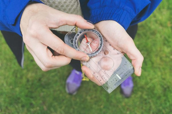 Comment planifier une expédition pour observer les tigres au parc national de Ranthambore, Inde?